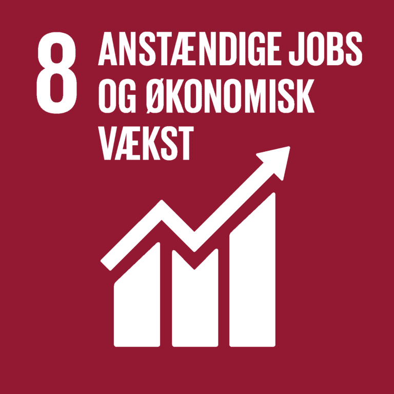 FN's verdensmål nr. 8 anstændige jobs og økonomisk vækst