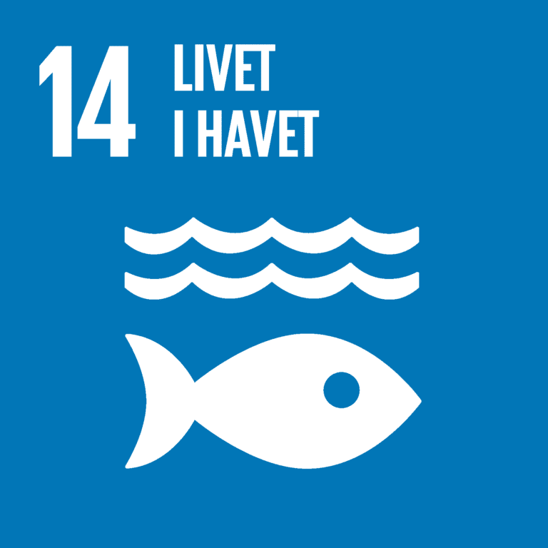 FN's verdensmål nr. 14 livet i havet